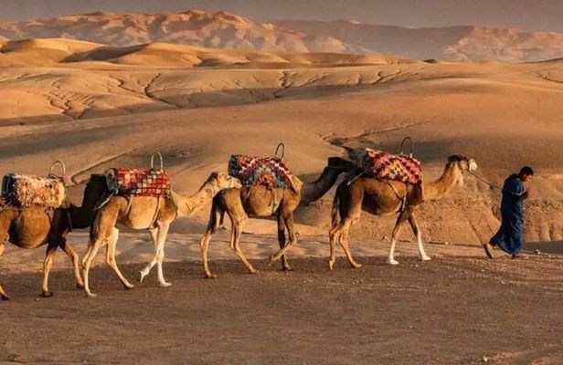  Agafay Desert Adventure Quad Camel Ride and Magical Evening