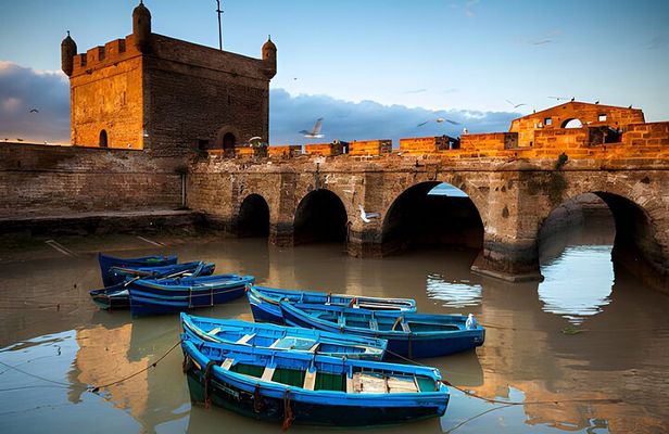 Private Full Day Trip to Essaouira from Marrakech