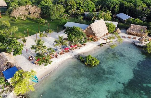 KidFriendly Monkey Sloth Iguana Farm BeachBreak chocolate sample