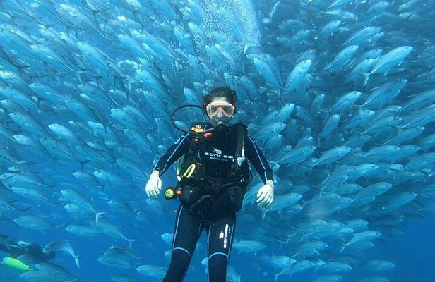 Espiritu Santo Private SCUBA Tour for Beginners