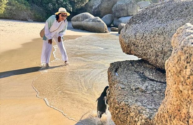 Half Day Adventure Penguin Encounter at Boulders Beach