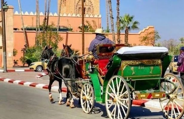 Marrakech! 1 hour traditional horse - drawn carriage tour