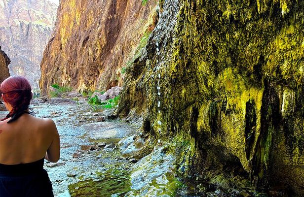 Goldstrike Hot Springs and 124 Degree Magma Heated Waterfall Hike