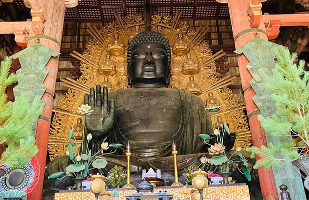 Nara: Essential Private Tour with Deer Park and Temples