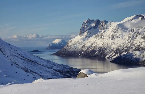 PRIVATE 5 Fjords Tour by Minivan in 4 Hours