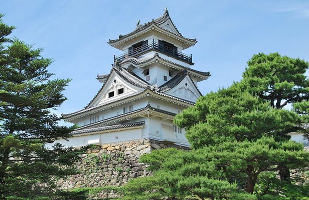 Shore Excursion Full Day Private Kochi Tour from Kochi port