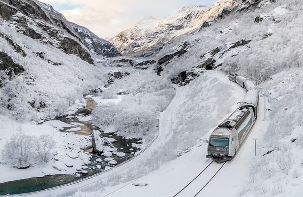 Winter Tour Viking Village, Nærøyfjord Cruise and Flåm Railway