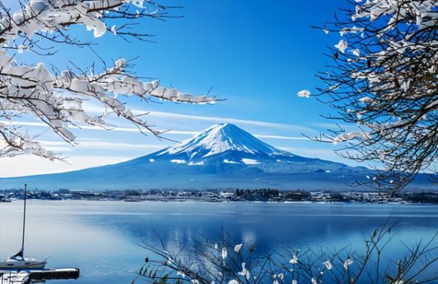 Mount Fuji Private Tour from Tokyo with English Speaking Driver