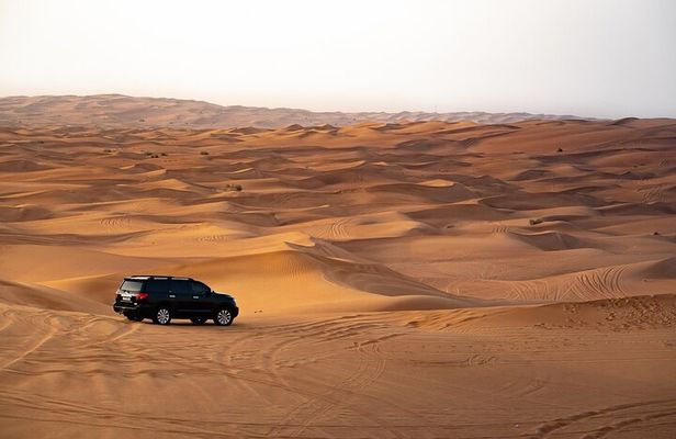 Dubai Desert Safari Camels with Dune Bashing and BBQ Dinner