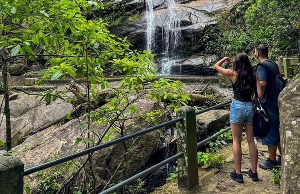 Tijuca Forest: Waterfall Trail and Immersion in Nature