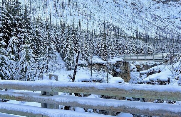 Day Trip: Lake Louise, Moraine Lake, Emerald Lake, Banff 