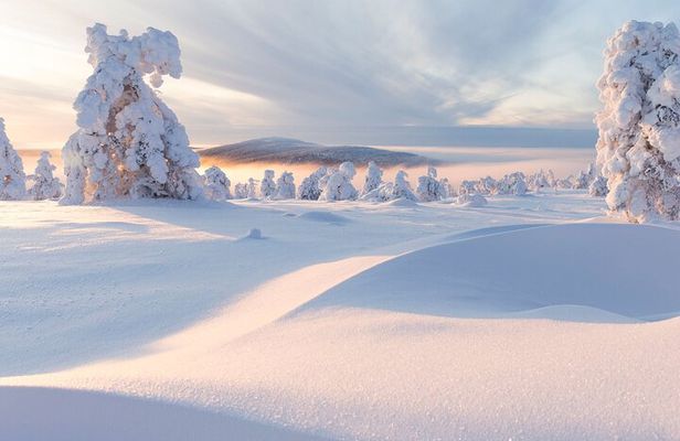Winter Snowshoeing in the Finnish Wilderness