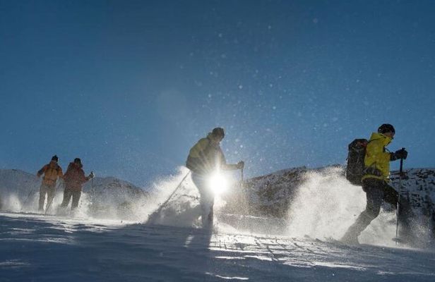 LEVI Night Star Walk on Snowshoes in the Wilderness(ALL INCLUDED)