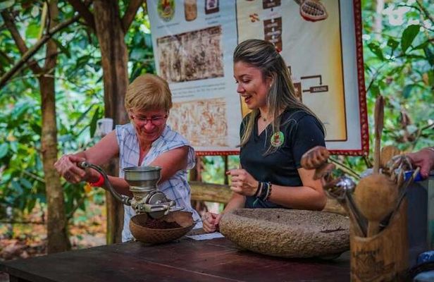 Guanacaste Waterfalls Rainforest Coffee Tour