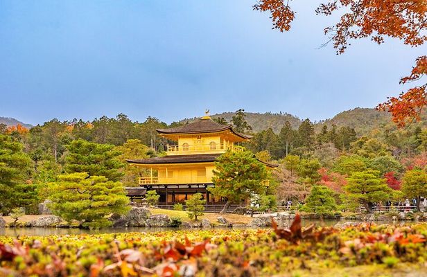 From Osaka or Kyoto: Kyoto and Nara 1-Day Bus Tour