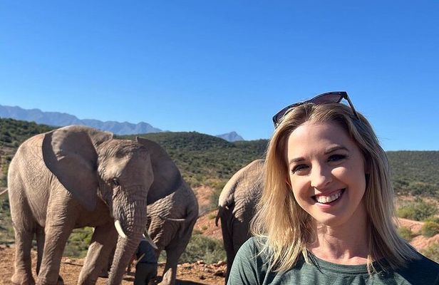 3-Day Cape Town Big Five Safari & Elephant Encounter
