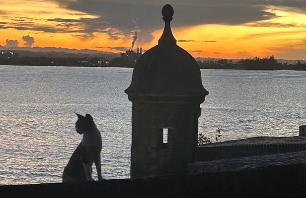 Signs and Wonders in Old San Juan History Culture and Mysteries