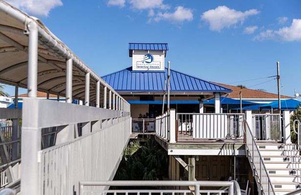 1.5-Hour Charleston Harbor Cruise with Live Narration