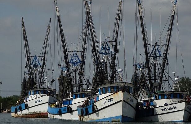 Port of Brownsville Tours