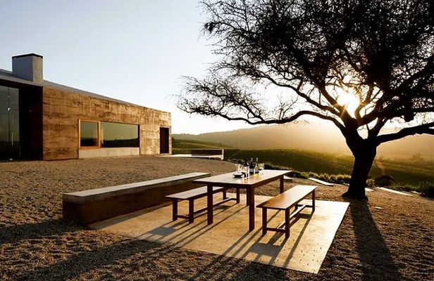 2-Winery Private Tour in Casablanca from Santiago