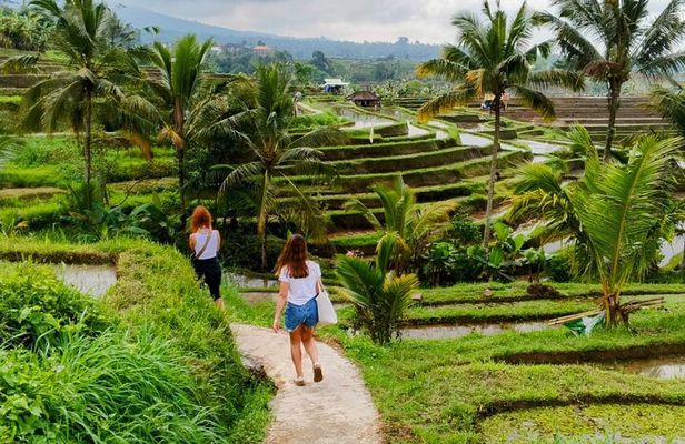 Bali Ulun Danu Beratan temple, waterfall, and Jatiluwih Heritage