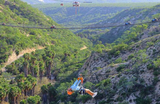 The Dual Experience Combo