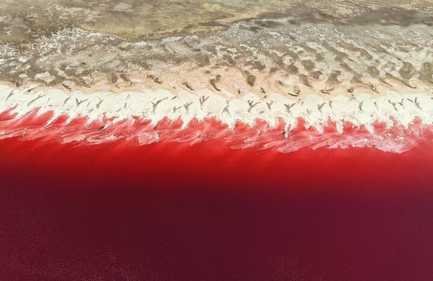 Pink Lake & Giant Salt Crystals – Great Salt Lake Adventure