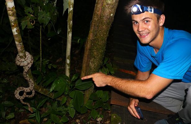 Night walk and search for tarantula sloths