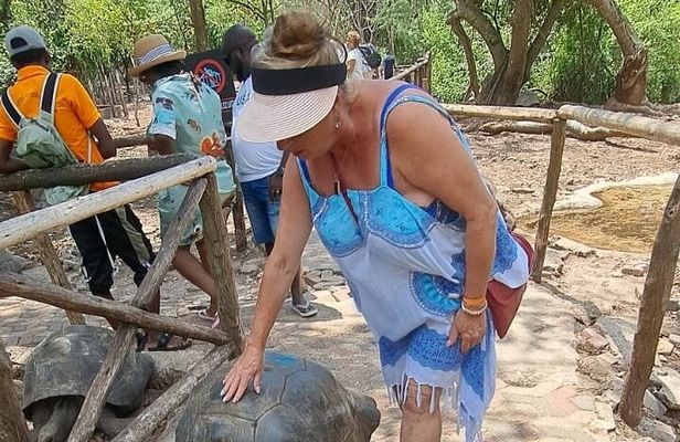Prison Island and Nakupenda Sandbank with lunch and Guide