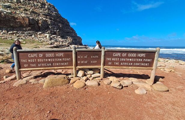 Cape Peninsula Tour