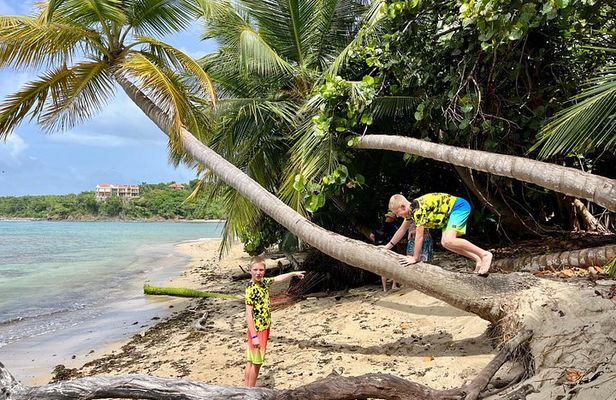 Private Jeep Excursion Explore St Thomas