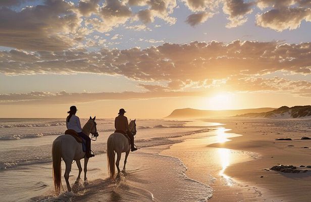 Noordhoek: Private Beach Horseback Riding in Cape Town
