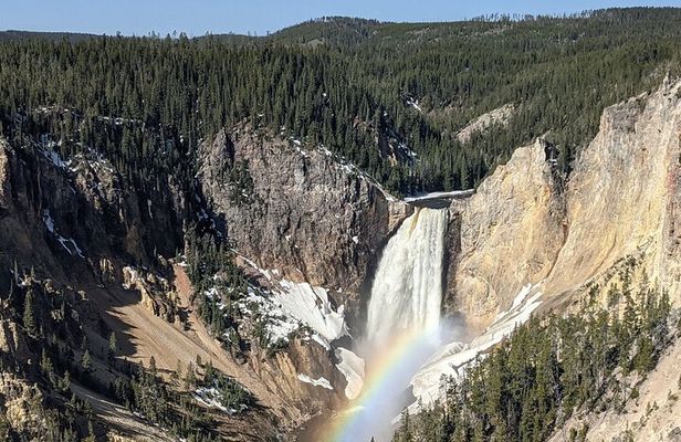 Yellowstone in a Day Private Guided Tour