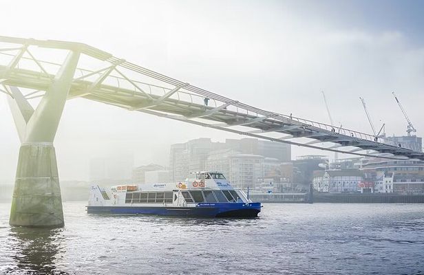 Thames Sightseeing Cruise with Flexible Time and Departure Pier