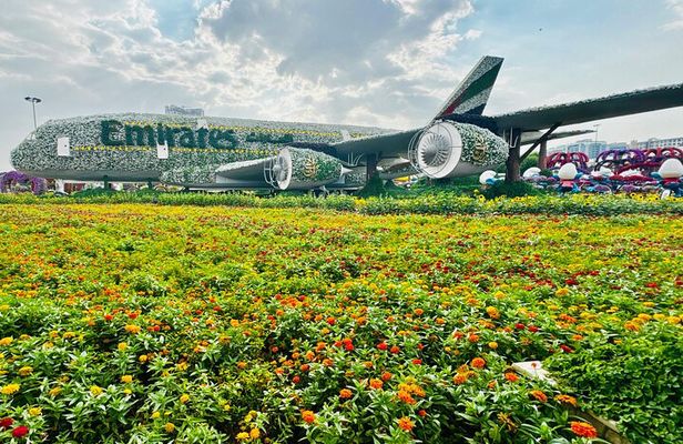 Dubai Miracle Garden Entry with Hotel Transfers