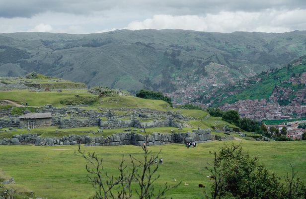 City Tour of Cusco and Encounter with Alpacas and Llamas