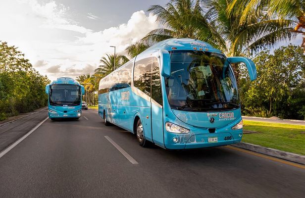Round Trip bus and ferry ride from Cancun to Cozumel