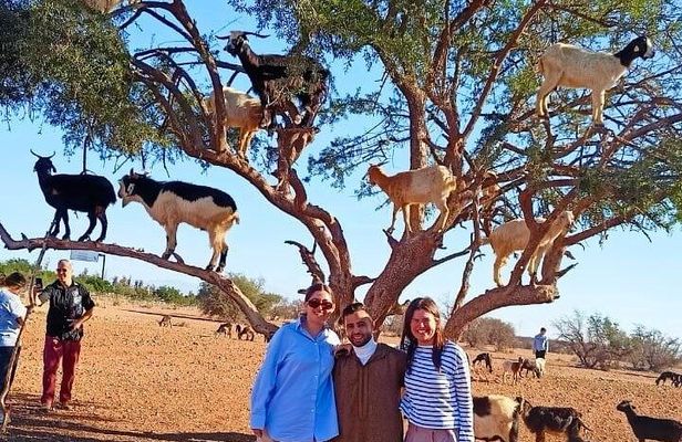 Sahara Day Trip from Agadir Sidi R’bat with Berber Lunch