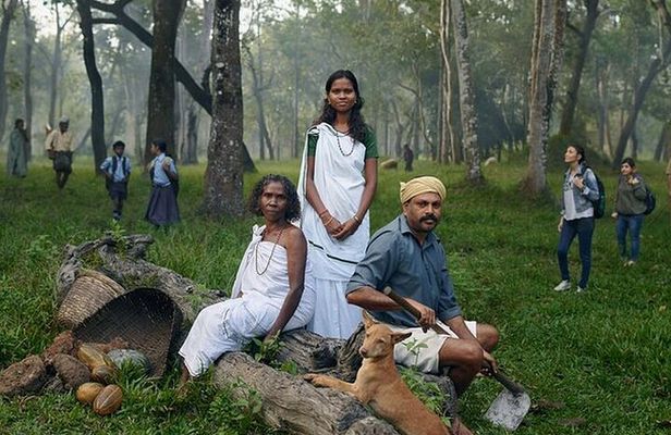 5 Days Kerala Tour with Private Car Houseboat Munnar and Thekkady