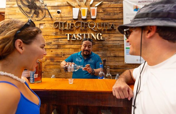 Beach Taco Tour with Tequila Tasting and Trasportation