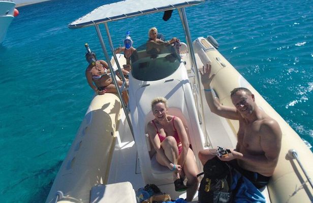 Private Speed Boat Dolphin Watching and Snorkeling Adventure