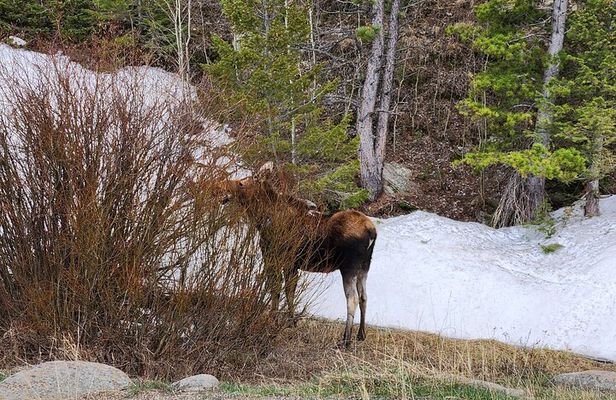 Winter on the Rocks with S'mores (Wildside 4x4 Tours)