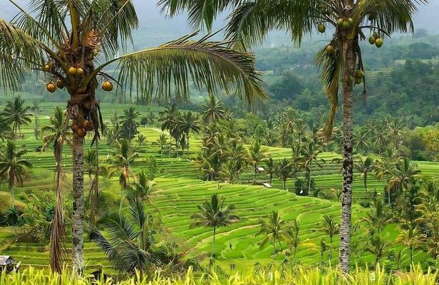 Ubud Art Village, Waterfall, Goa Gajah Temple & Rice Terraces