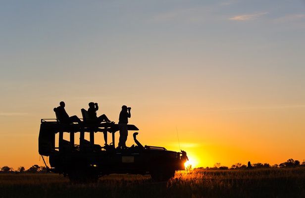 Chobe and Namibian Island Tour with Lunch from Victoria Falls