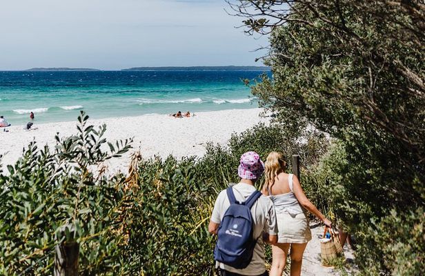 From Sydney: Day Tour to Jervis Bay with Beaches and Koalas