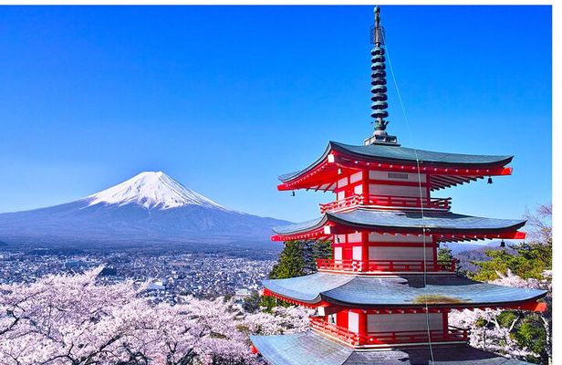 Mount Fuji Panoramic Day Trip from Tokyo