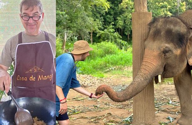 Thai Cooking Class and Elephant Sanctuary: From Market to Forest