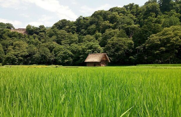 Shirakawago & Kanazawa from Kanazawa