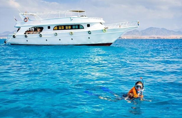 Snorkeling and Swimming trip in Jeddah 