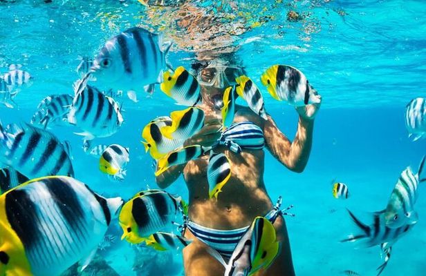 Tiran Island Snorkeling Trip by Boat Full Day